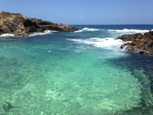 Monde sous-marin dans la piscine de marée